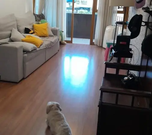 Apartamento para Venda em Santo André, Centro, 4 dormitórios, 1 suíte, 2 banheiros, 2 vagas
