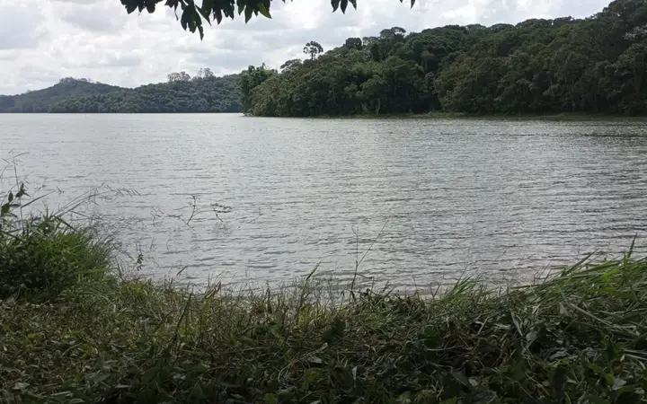 Terreno para Venda em São Bernardo do Campo, Dos Finco