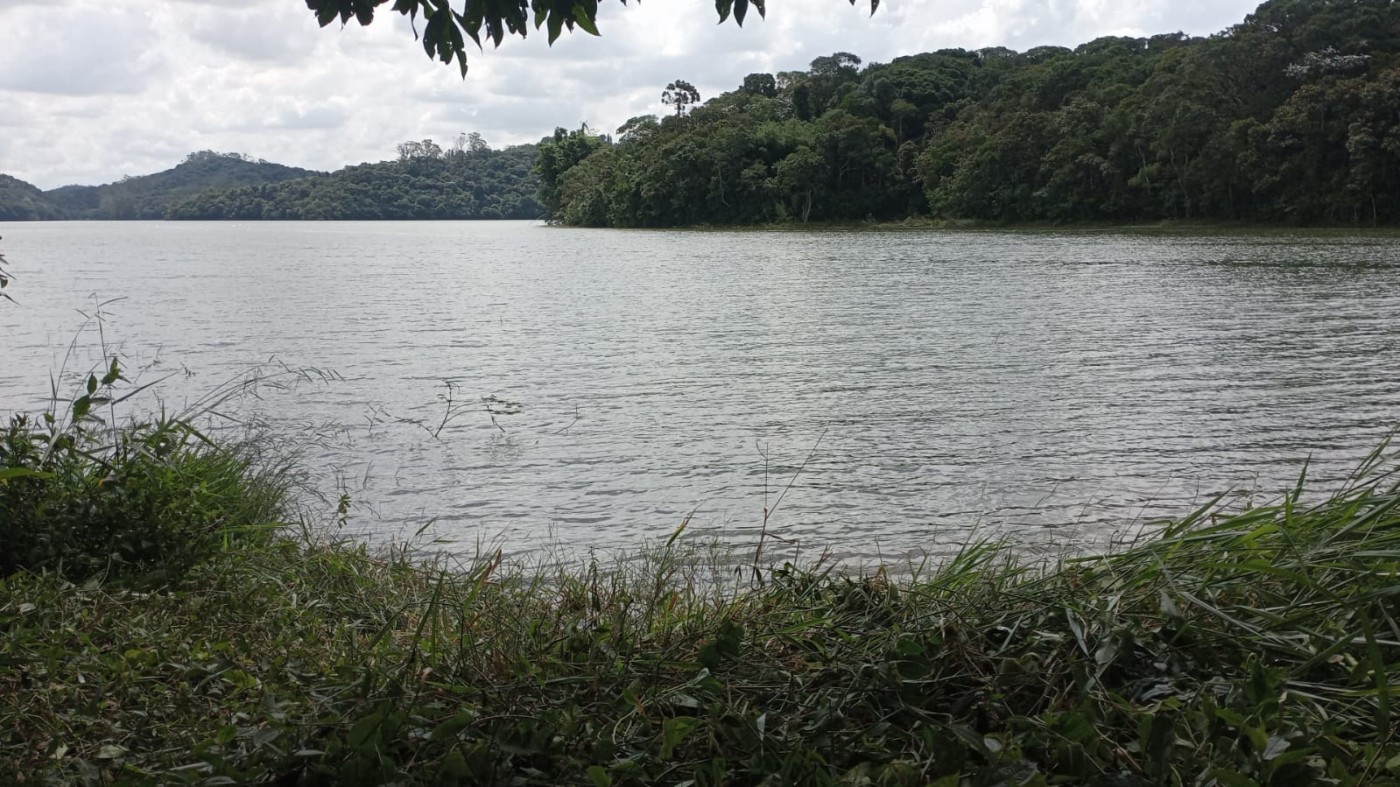 Terreno para Venda em São Bernardo do Campo, Dos Finco
