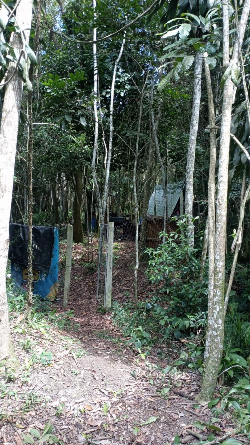 Terreno para Venda em São Bernardo do Campo, Dos Finco - apoio