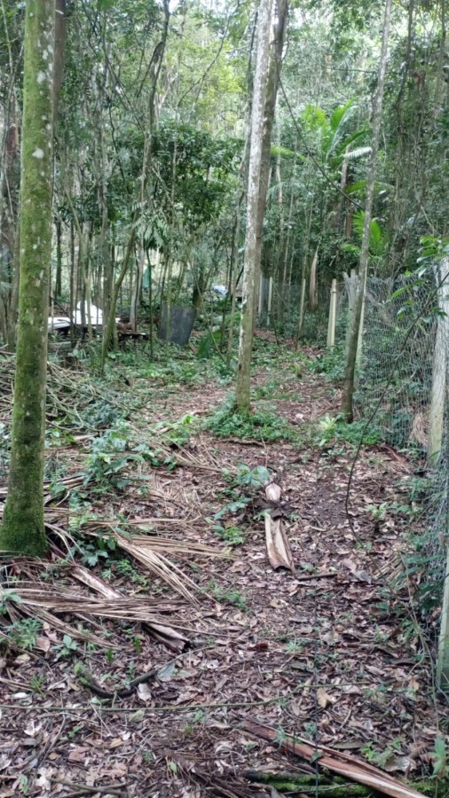Terreno para Venda em São Bernardo do Campo, Dos Finco - apoio