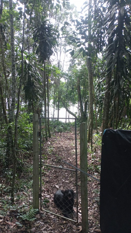 Terreno para Venda em São Bernardo do Campo, Dos Finco - previa
